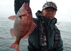愛裕南丸 釣果