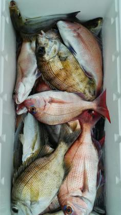 長栄丸(静岡) 釣果