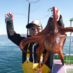 川崎丸 釣果