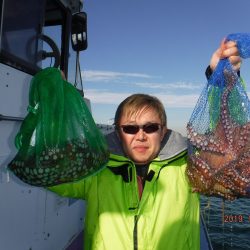川崎丸 釣果