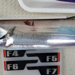 遊漁船 ニライカナイ 釣果