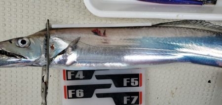 遊漁船 ニライカナイ 釣果