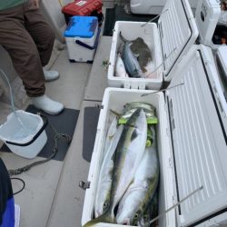 第八大安丸 釣果