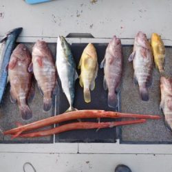 第二一之紀丸(ダイニイチノキマル) 釣果