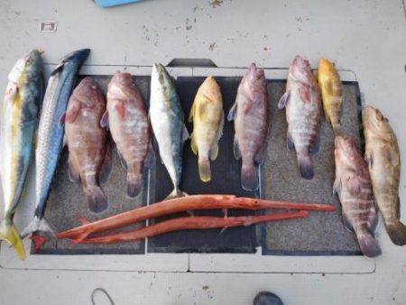 第二一之紀丸(ダイニイチノキマル) 釣果