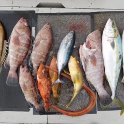 第二一之紀丸(ダイニイチノキマル) 釣果