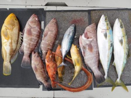 第二一之紀丸（ダイニイチノキマル） 釣果