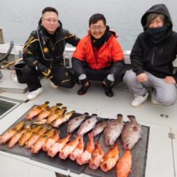 第二一之紀丸(ダイニイチノキマル) 釣果