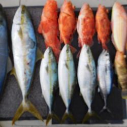 第二一之紀丸(ダイニイチノキマル) 釣果