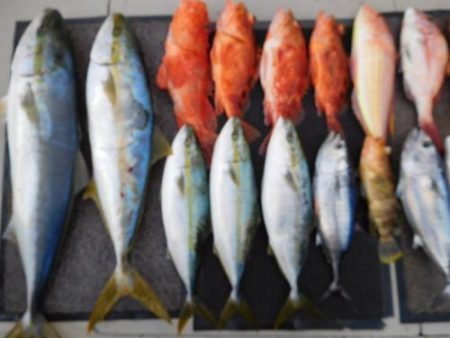 第二一之紀丸(ダイニイチノキマル) 釣果