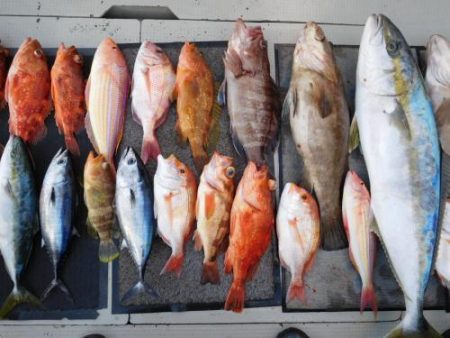 第二一之紀丸(ダイニイチノキマル) 釣果