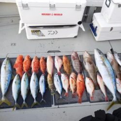 第二一之紀丸(ダイニイチノキマル) 釣果