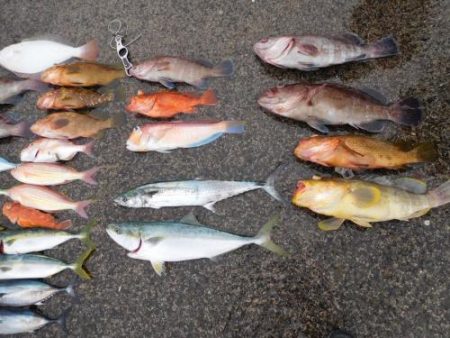 第二一之紀丸（ダイニイチノキマル） 釣果