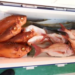 第二むつ漁丸 釣果