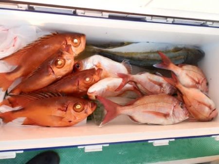 第二むつ漁丸 釣果