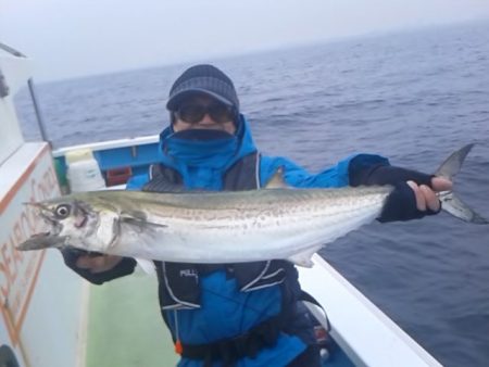 さわ浦丸 釣果