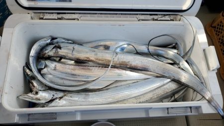 遊漁船　ニライカナイ 釣果