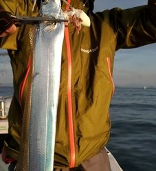 遊漁船 ニライカナイ 釣果