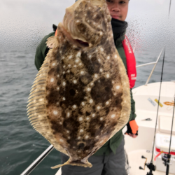 Magic（マジック） 釣果