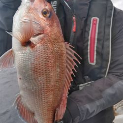 遊漁船 新鋭丸 釣果