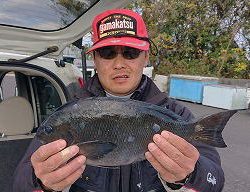 第八有漁丸 釣果