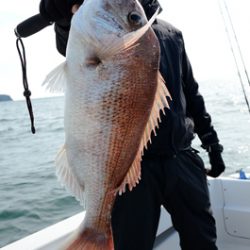 Marine T Design マリンティーデザイン 釣果