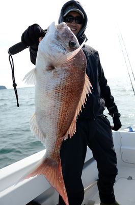 Marine T Design　マリンティ…