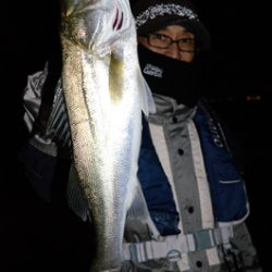 Marine T Design マリンティーデザイン 釣果