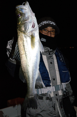 Marine T Design　マリンティ…