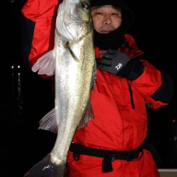 Marine T Design マリンティーデザイン 釣果