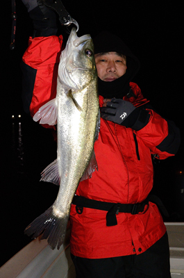 Marine T Design マリンティーデザイン 釣果