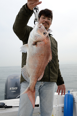 Marine T Design マリンティーデザイン 釣果