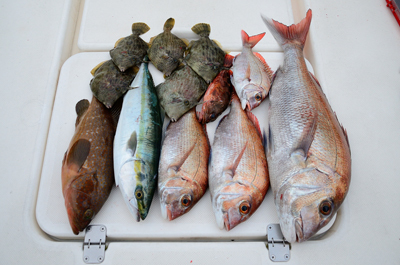 Marine T Design マリンティーデザイン 釣果