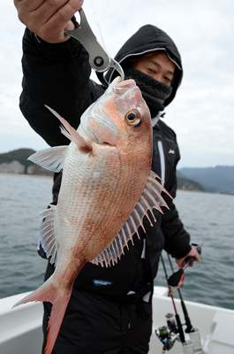 Marine T Design　マリンティ…