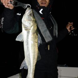 Marine T Design マリンティーデザイン 釣果