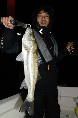 Marine T Design　マリンティ…