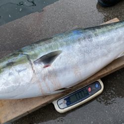 まるいち丸 ZERO-1 釣果