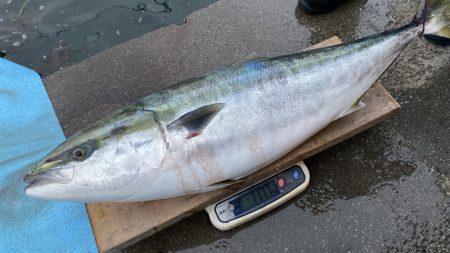 まるいち丸 ZERO-1 釣果