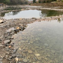 芥川管理釣り場