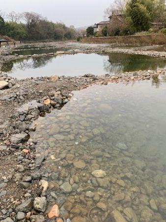 芥川管理釣り場