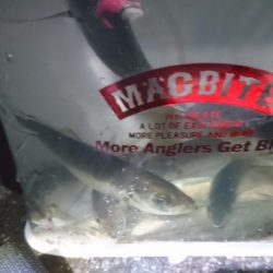 クリスマスアジング