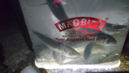 クリスマスアジング