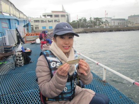 オリジナルメーカー海づり公園(市原市海づり施設) 釣果
