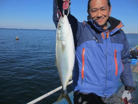 オリジナルメーカー海づり公園(市原市海づり施設) 釣果