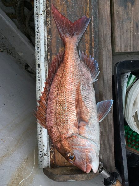 幸吉丸 釣果