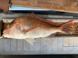 幸吉丸 釣果