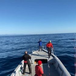 へいみつ丸 釣果