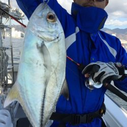 ミタチ丸 釣果
