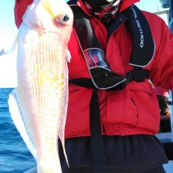 遊漁船 新鋭丸 釣果