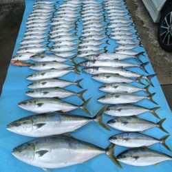 まるいち丸 ZERO-1 釣果